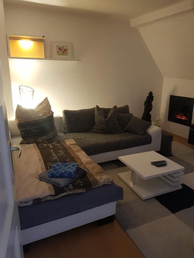 Apartment Am Suedpark Erfurt - Inkl Garten Mit Sitzlounge - Zentrumsnah Εξωτερικό φωτογραφία
